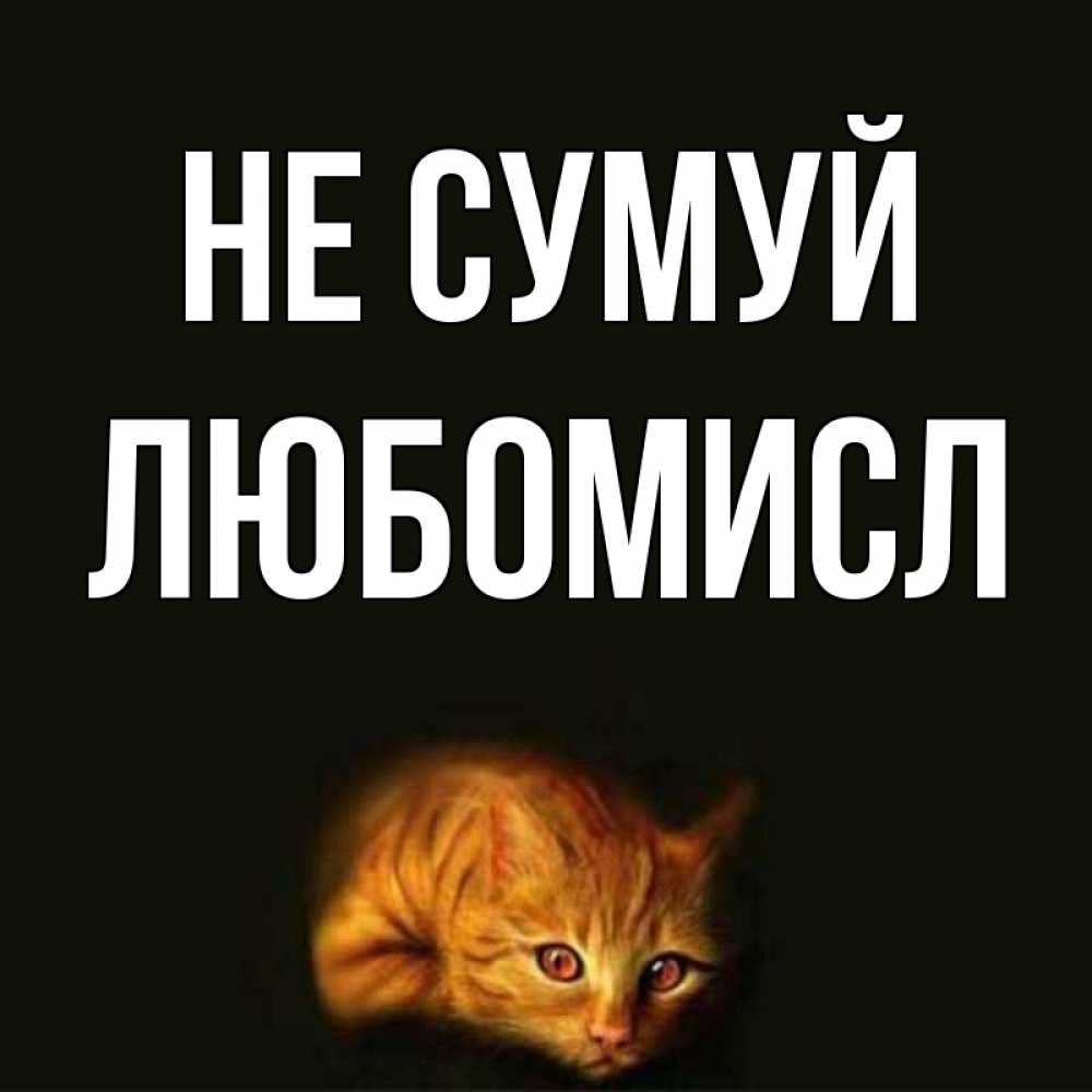 Открытка на каждый день з підписом, Любомисл Не сумуй лежащий кот в темноте Прикольна листівка з побажанням онлайн скачати безкоштовно 