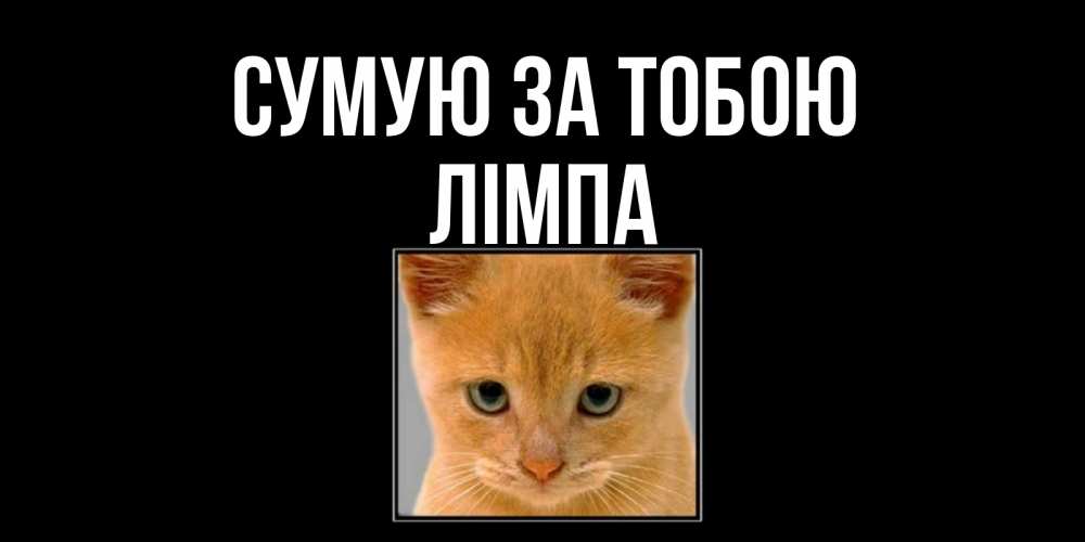 Открытка на каждый день з підписом, Лімпа Сумую за тобою открытки рыжий котенок скучает по тебе Прикольна листівка з побажанням онлайн скачати безкоштовно 