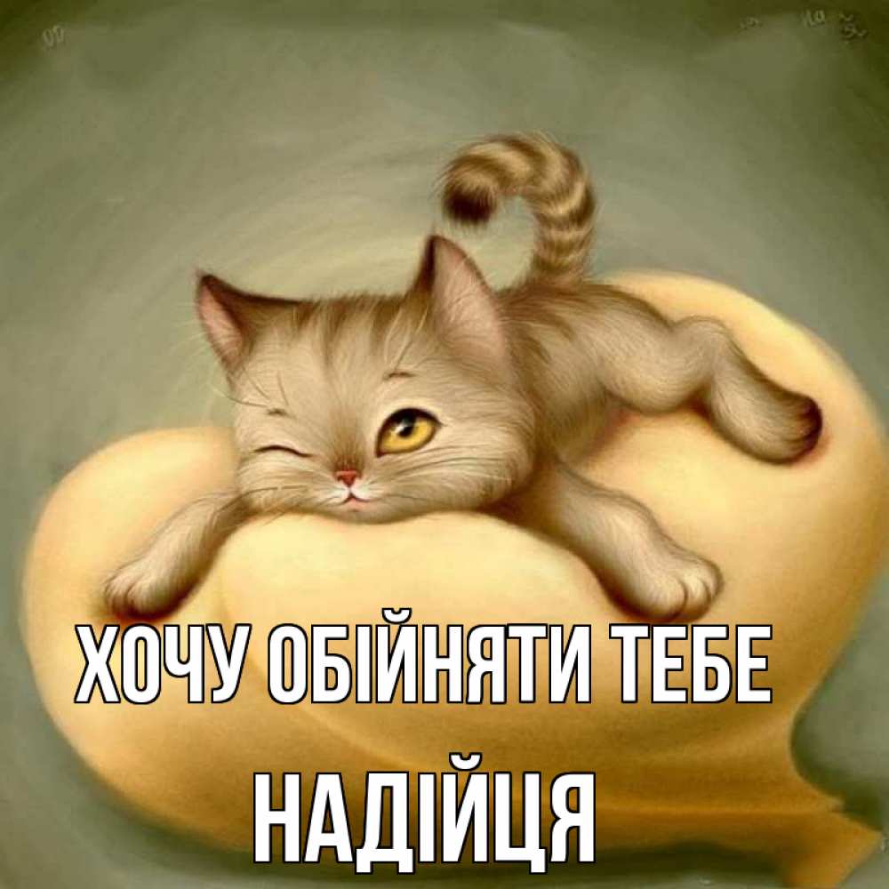 Открытка на каждый день з підписом, Надійця Хочу обійняти тебе кошечка Прикольна листівка з побажанням онлайн скачати безкоштовно 