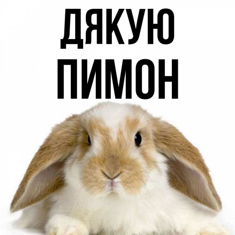 Открытка на каждый день з підписом, Пимон Дякую коричнево белый заяц Прикольна листівка з побажанням онлайн скачати безкоштовно 