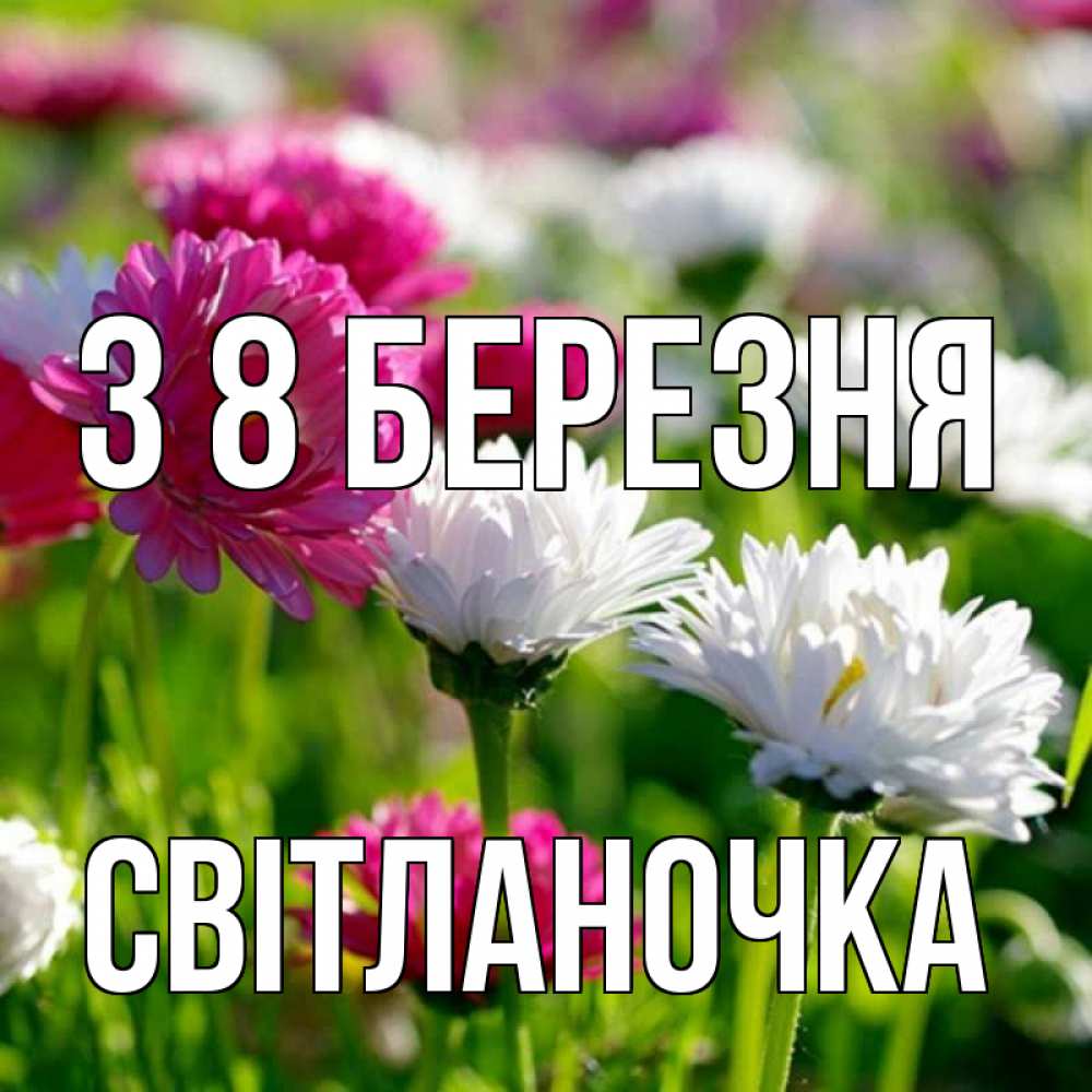 Открытка на каждый день з підписом, Світланочка З 8 БЕРЕЗНЯ международный женский день 1 Прикольна листівка з побажанням онлайн скачати безкоштовно 
