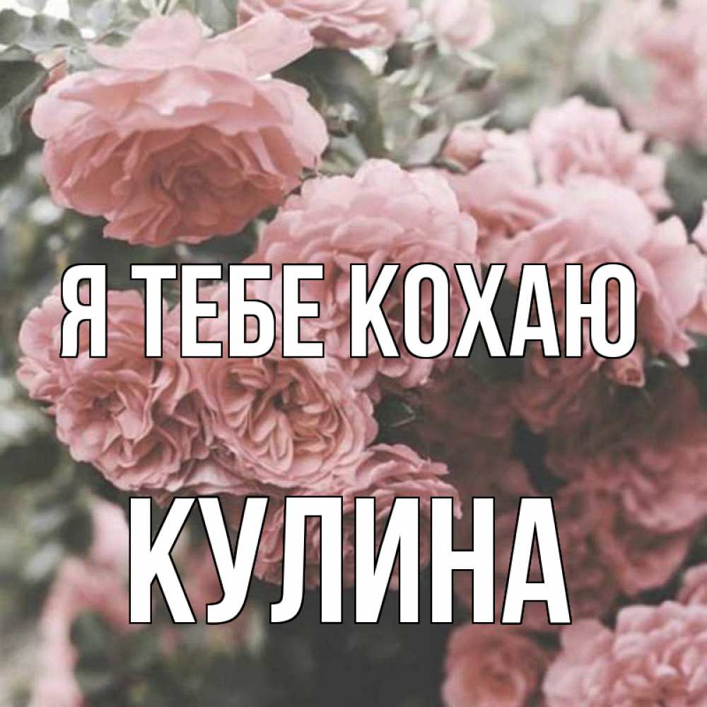 Открытка на каждый день з підписом, Кулина Я тебе кохаю розы 3 Прикольна листівка з побажанням онлайн скачати безкоштовно 
