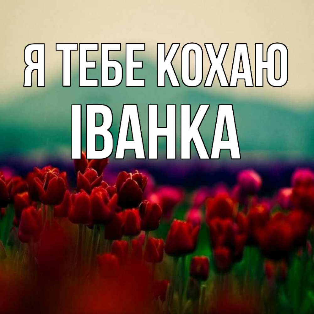 Открытка на каждый день з підписом, Іванка Я тебе кохаю тюльпаны 4 Прикольна листівка з побажанням онлайн скачати безкоштовно 