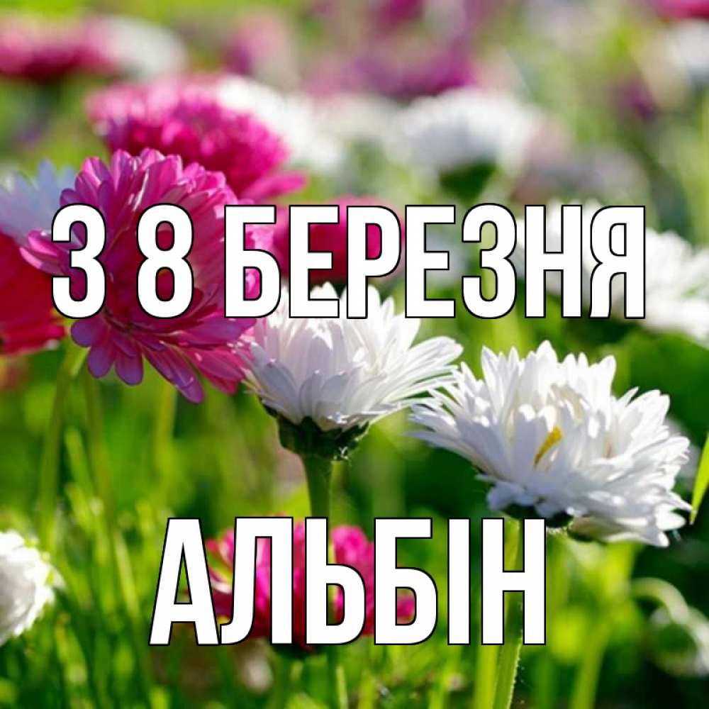 Открытка на каждый день з підписом, Альбін З 8 БЕРЕЗНЯ международный женский день 1 Прикольна листівка з побажанням онлайн скачати безкоштовно 