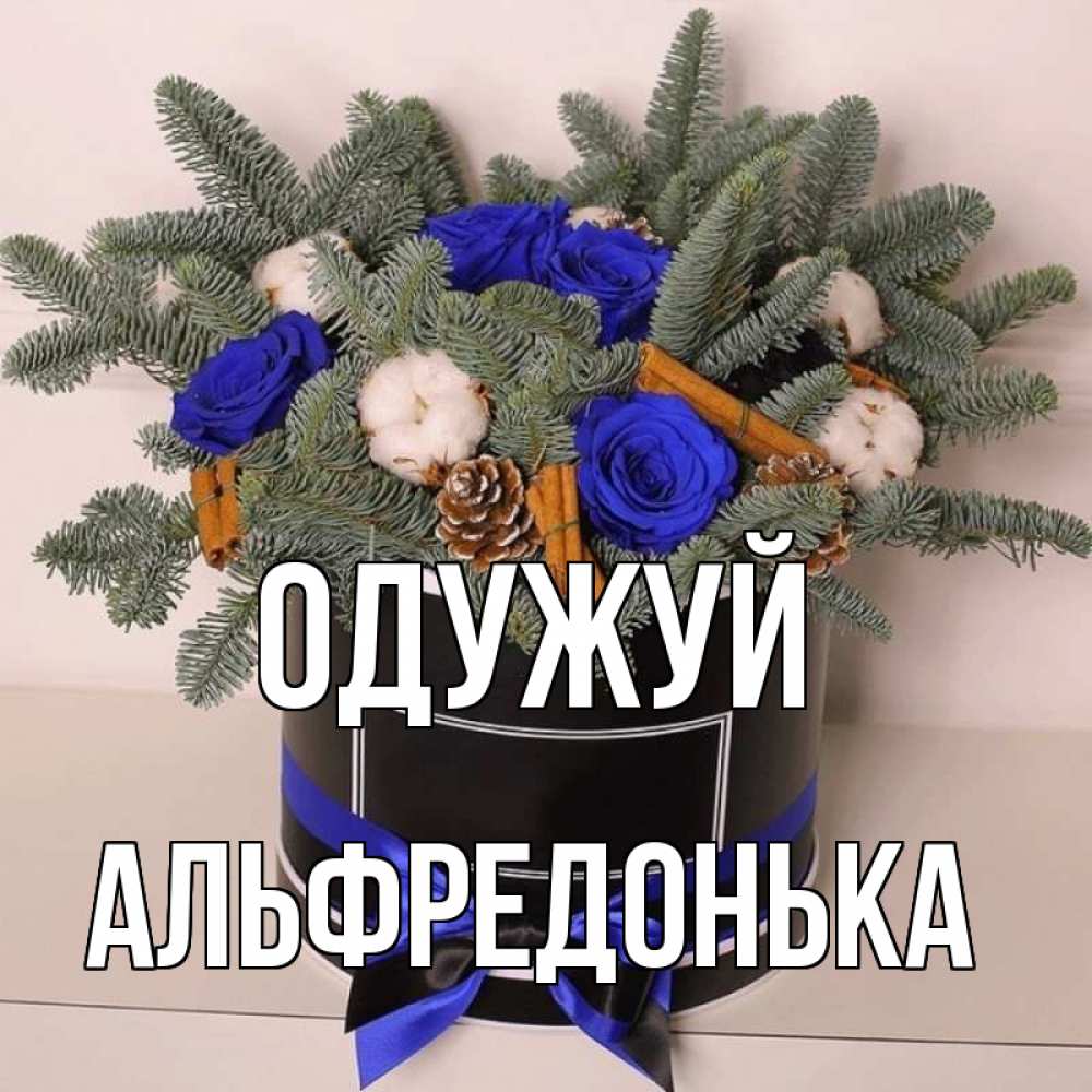 Открытка на каждый день з підписом, Альфредонька Одужуй короче кто то загрузил эти шишки Прикольна листівка з побажанням онлайн скачати безкоштовно 