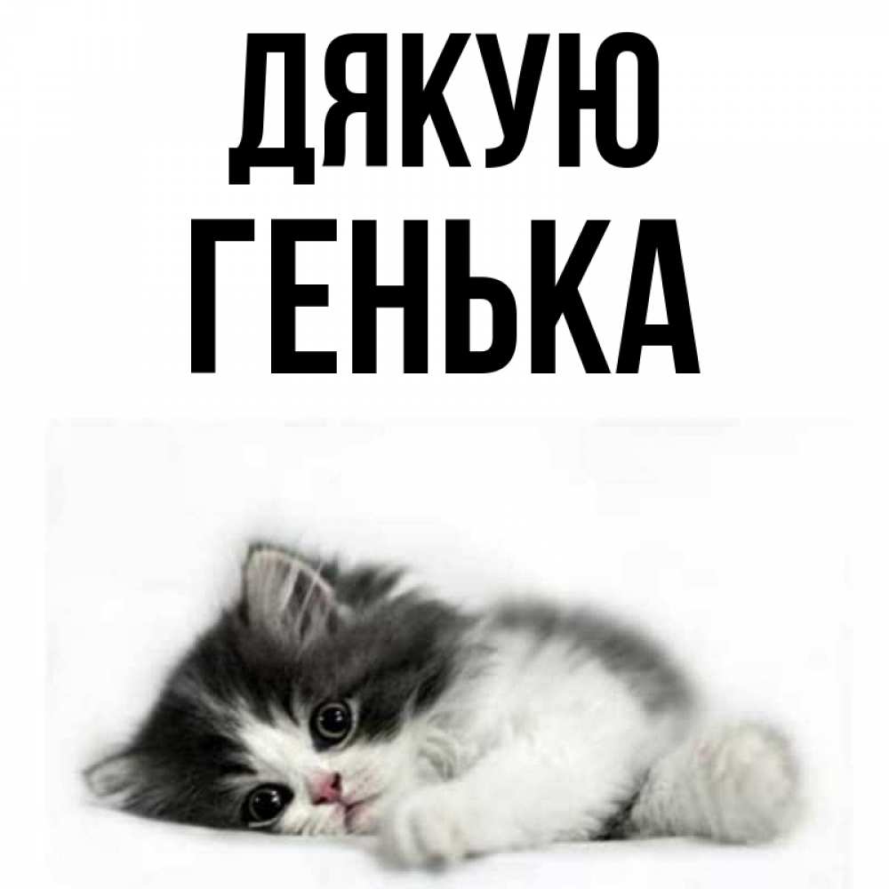 Открытка на каждый день з підписом, Генька Дякую черный и белый кот Прикольна листівка з побажанням онлайн скачати безкоштовно 