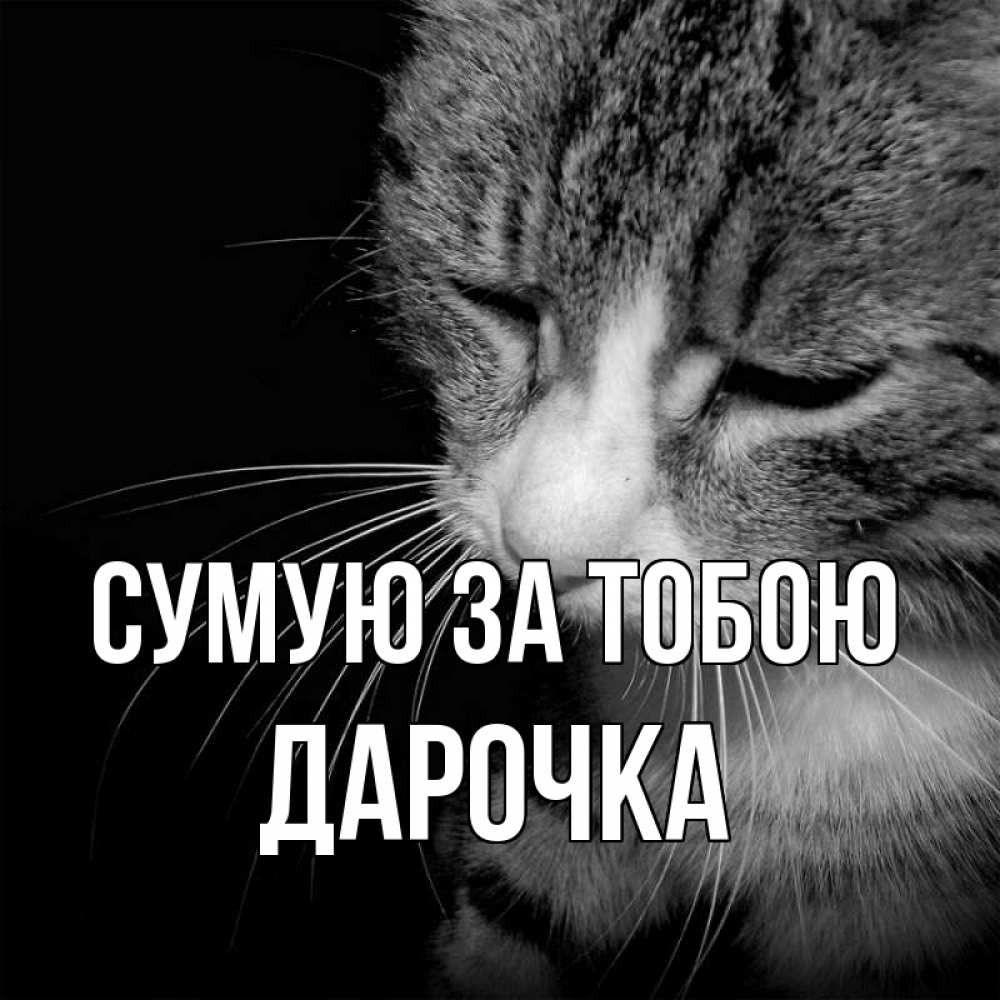 Открытка на каждый день з підписом, Дарочка Сумую за тобою мне скучно Прикольна листівка з побажанням онлайн скачати безкоштовно 