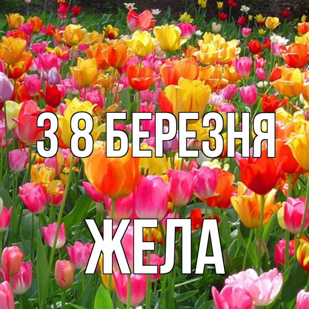 Открытка на каждый день з підписом, Жела З 8 БЕРЕЗНЯ на международный женский день Прикольна листівка з побажанням онлайн скачати безкоштовно 