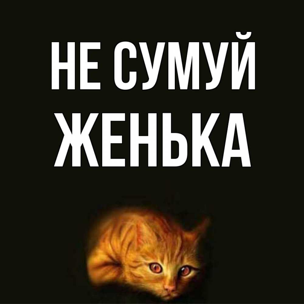 Открытка на каждый день з підписом, Женька Не сумуй лежащий кот в темноте Прикольна листівка з побажанням онлайн скачати безкоштовно 