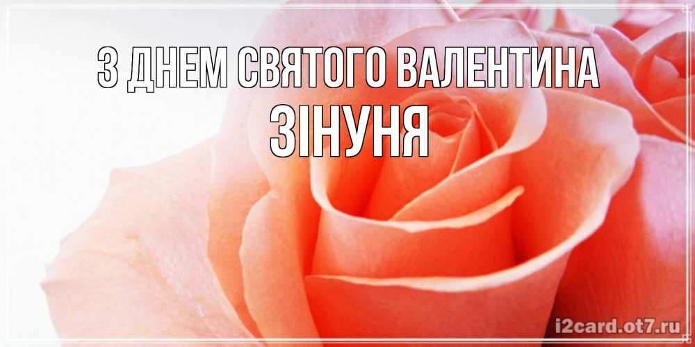 Открытка на каждый день з підписом, Зінуня З Днем Святого Валентина открытка на день Святого Валентина с розовой розой Прикольна листівка з побажанням онлайн скачати безкоштовно 
