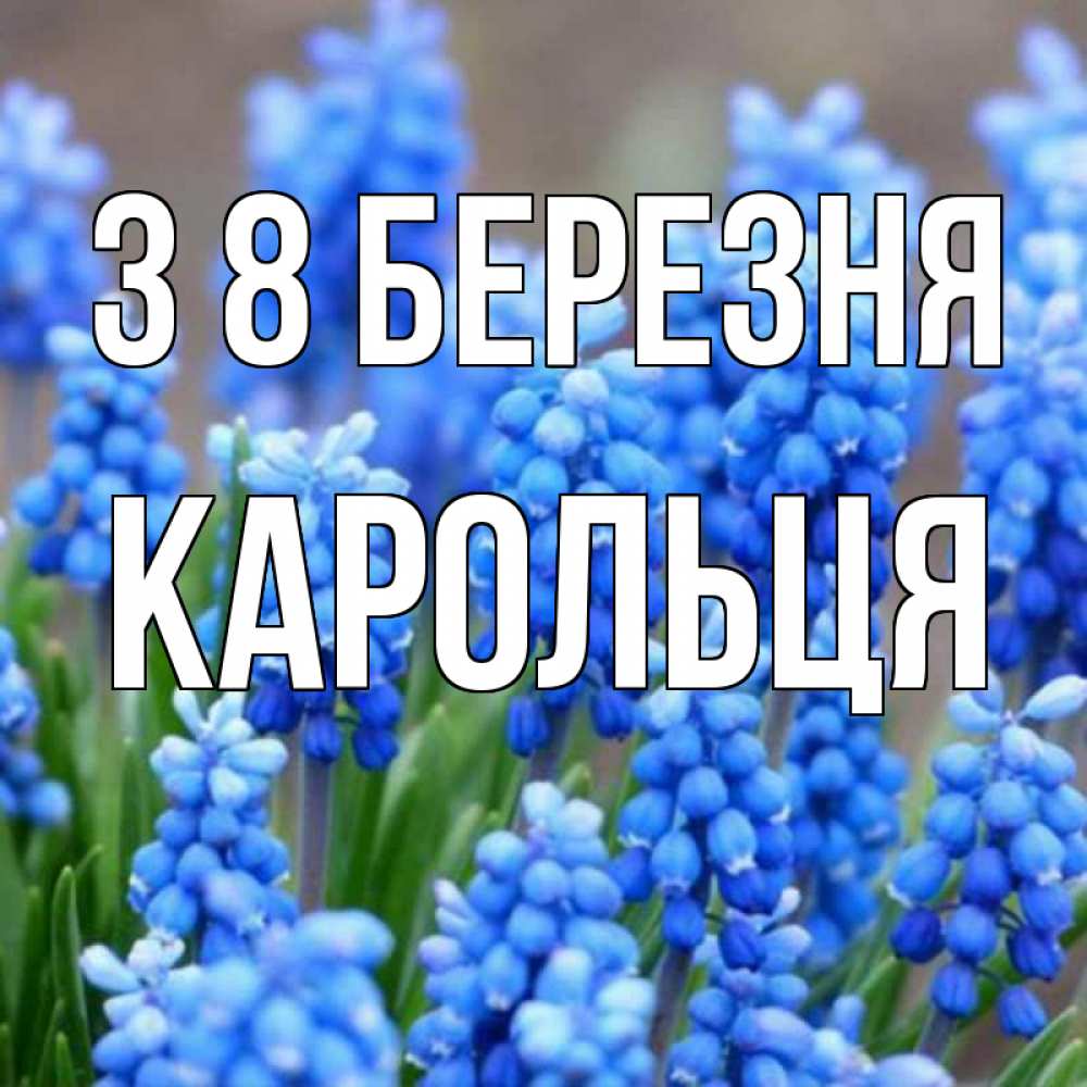 Открытка на каждый день з підписом, Карольця З 8 БЕРЕЗНЯ Поздравительная открытка для женщин с цветами на праздничную дату Прикольна листівка з побажанням онлайн скачати безкоштовно 