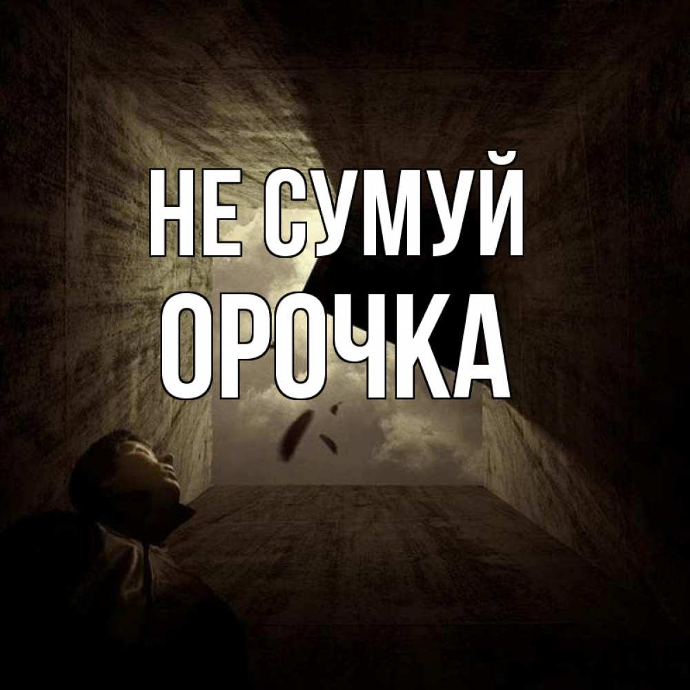 Открытка на каждый день з підписом, Орочка Не сумуй жуть Прикольна листівка з побажанням онлайн скачати безкоштовно 