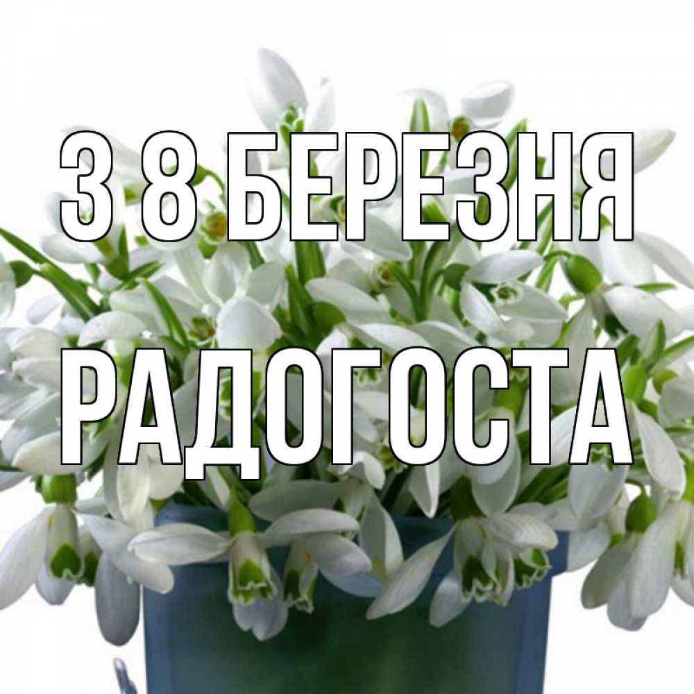 Открытка на каждый день з підписом, Радогоста З 8 БЕРЕЗНЯ цветы к международному женскому дню Прикольна листівка з побажанням онлайн скачати безкоштовно 