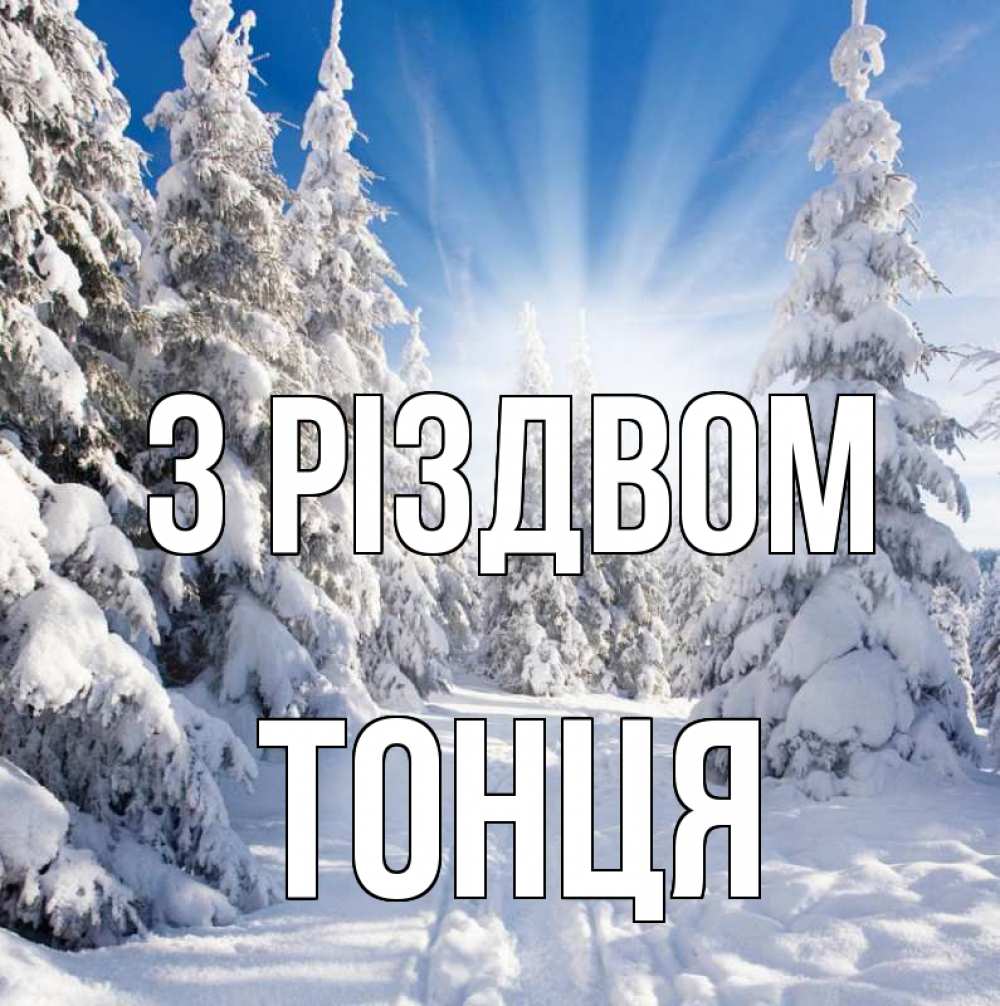 Открытка на каждый день з підписом, Тонця З Різдвом зима, лес Прикольна листівка з побажанням онлайн скачати безкоштовно 