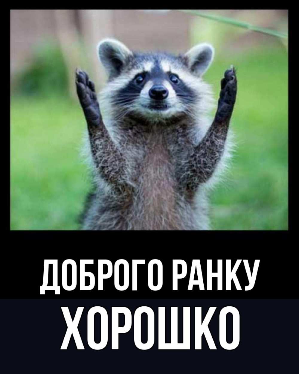 Открытка на каждый день з підписом, Хорошко Доброго ранку хорошее настроение утречком Прикольна листівка з побажанням онлайн скачати безкоштовно 