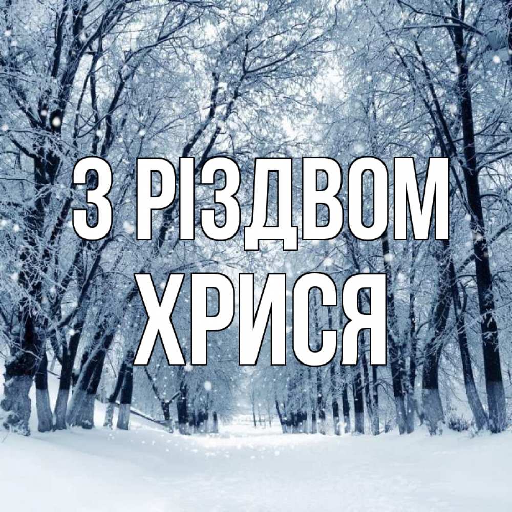 Открытка на каждый день з підписом, Хрися З Різдвом снег, лес, парк Прикольна листівка з побажанням онлайн скачати безкоштовно 
