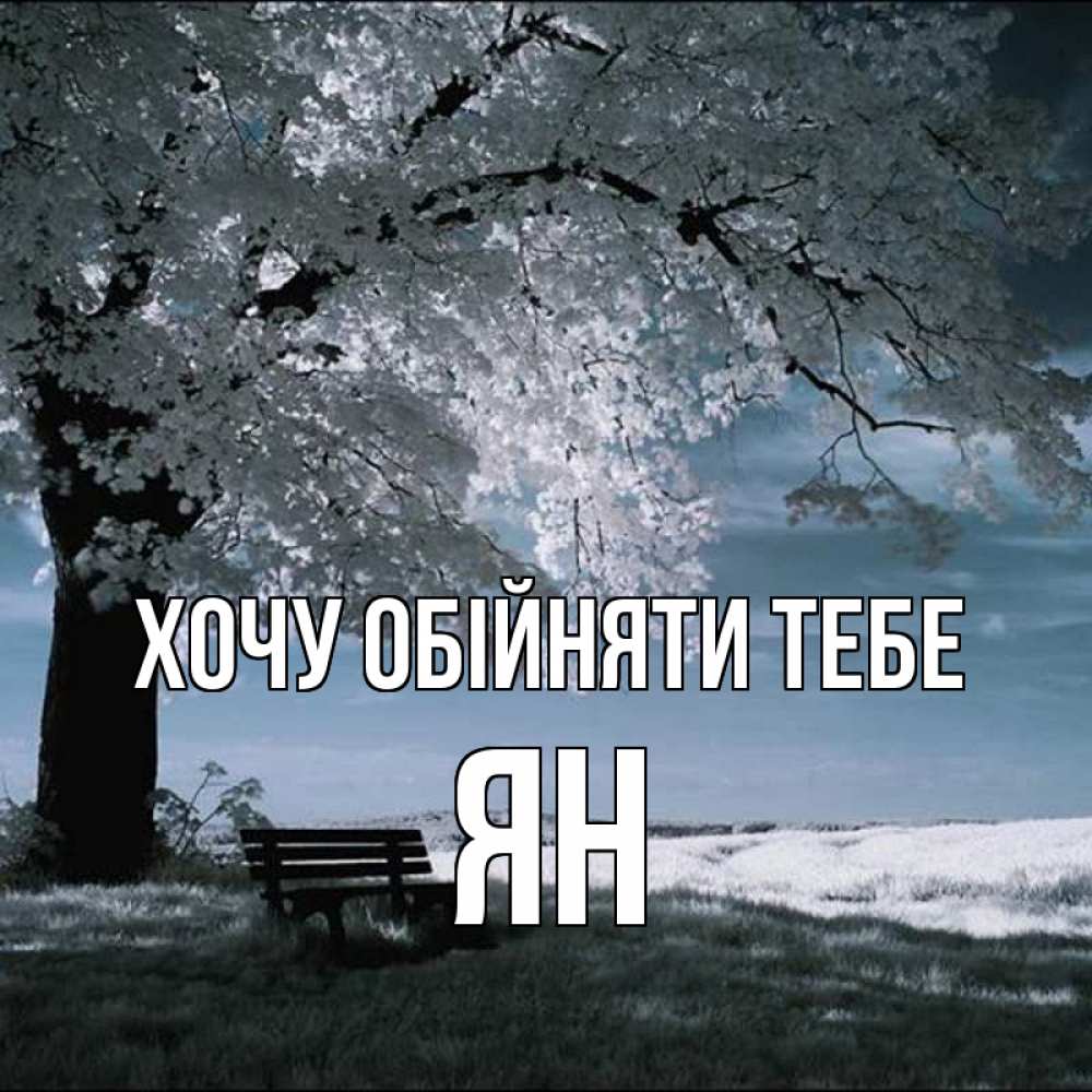 Открытка на каждый день з підписом, Ян Хочу обійняти тебе дерево Прикольна листівка з побажанням онлайн скачати безкоштовно 