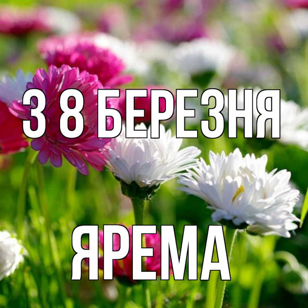 Открытка на каждый день з підписом, Ярема З 8 БЕРЕЗНЯ международный женский день 1 Прикольна листівка з побажанням онлайн скачати безкоштовно 