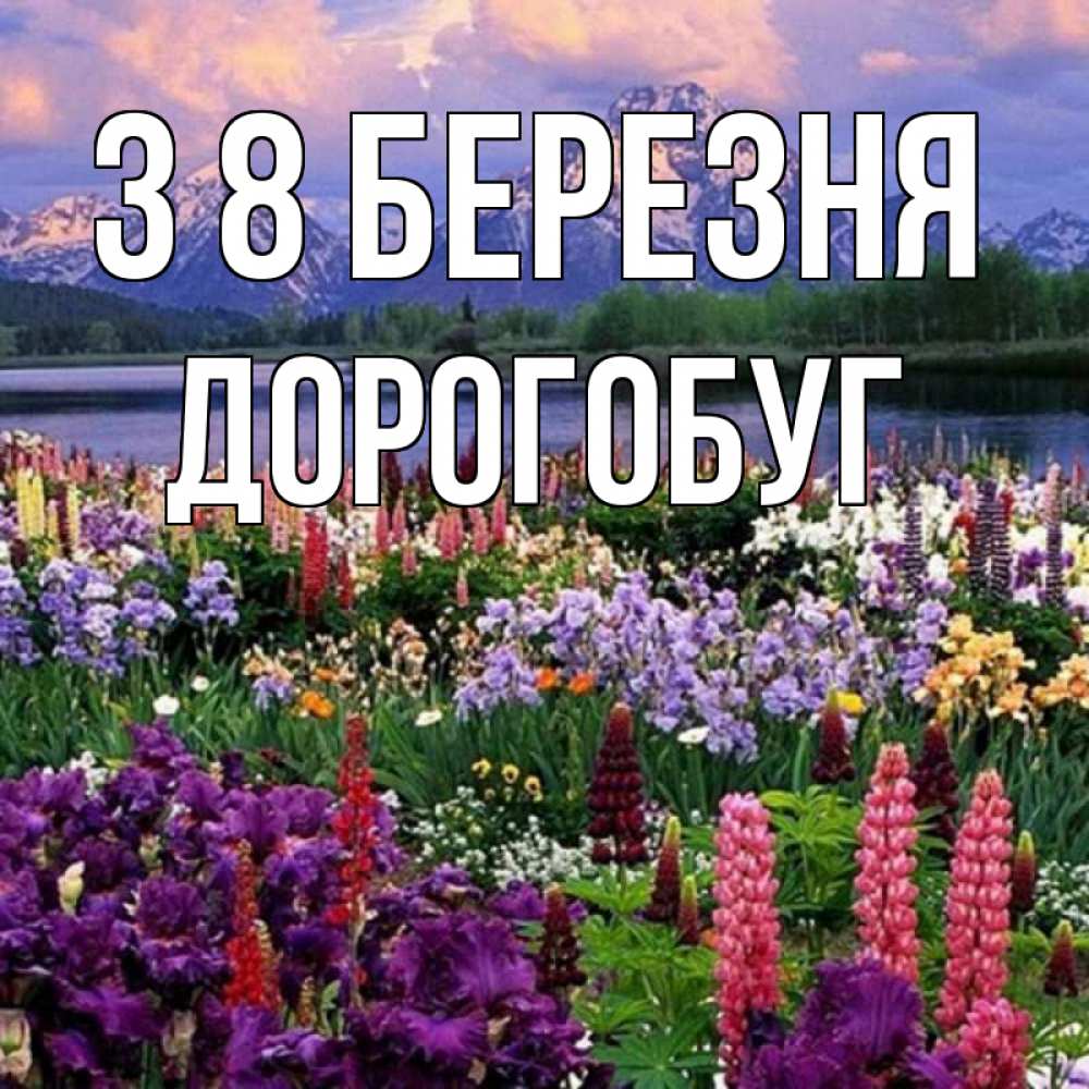 Открытка на каждый день з підписом, Дорогобуг З 8 БЕРЕЗНЯ международный женский день Прикольна листівка з побажанням онлайн скачати безкоштовно 