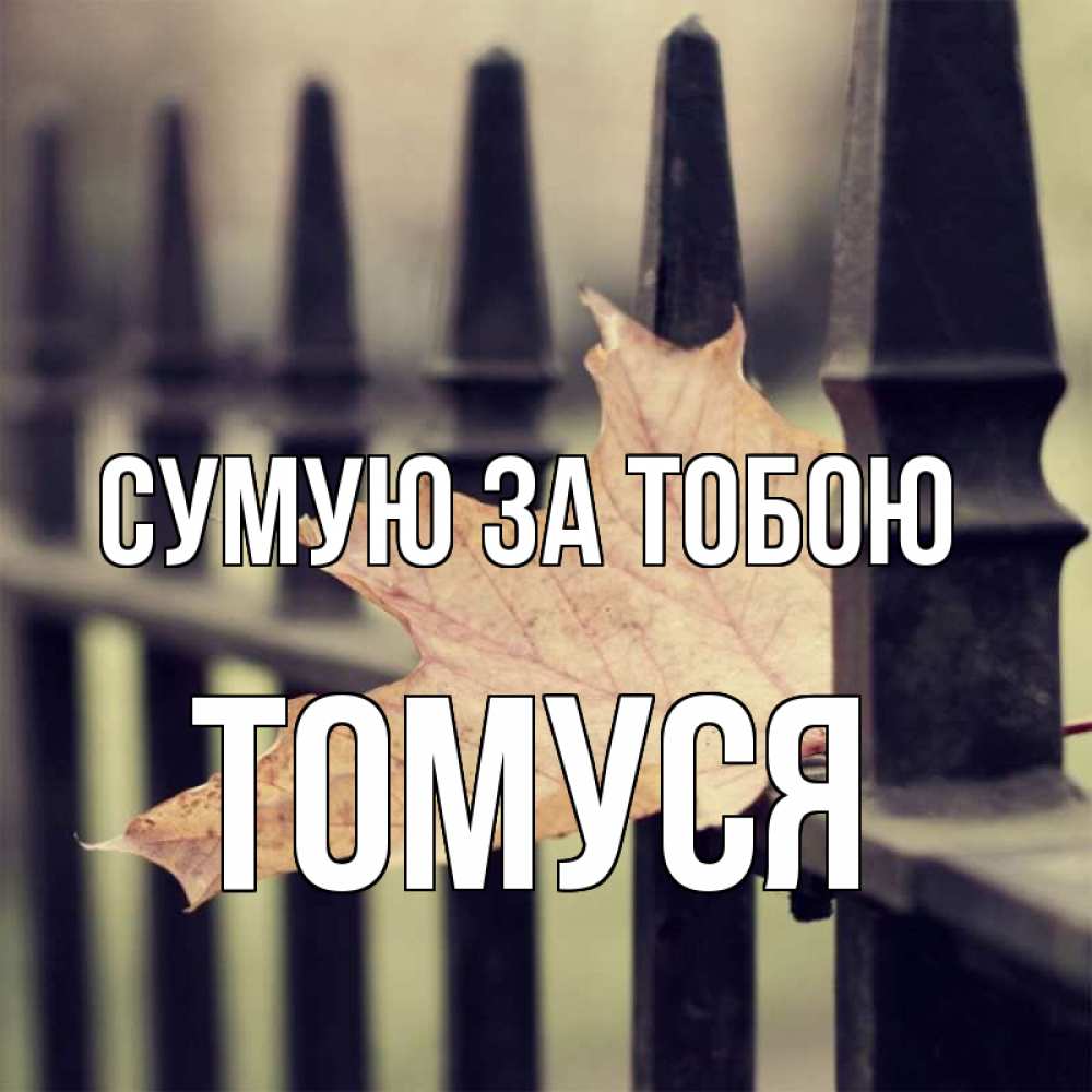 Открытка на каждый день з підписом, Томуся Сумую за тобою очень скучно Прикольна листівка з побажанням онлайн скачати безкоштовно 