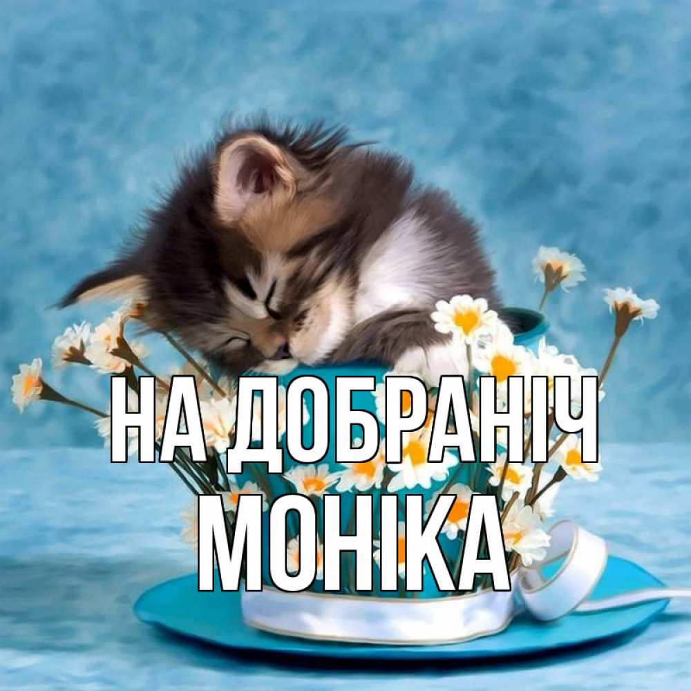 Открытка на каждый день з підписом, Моніка На добраніч котенок спит в кружке с блюдцем Прикольна листівка з побажанням онлайн скачати безкоштовно 