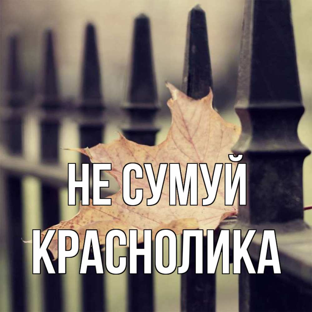 Открытка на каждый день з підписом, Краснолика Не сумуй лист клена Прикольна листівка з побажанням онлайн скачати безкоштовно 
