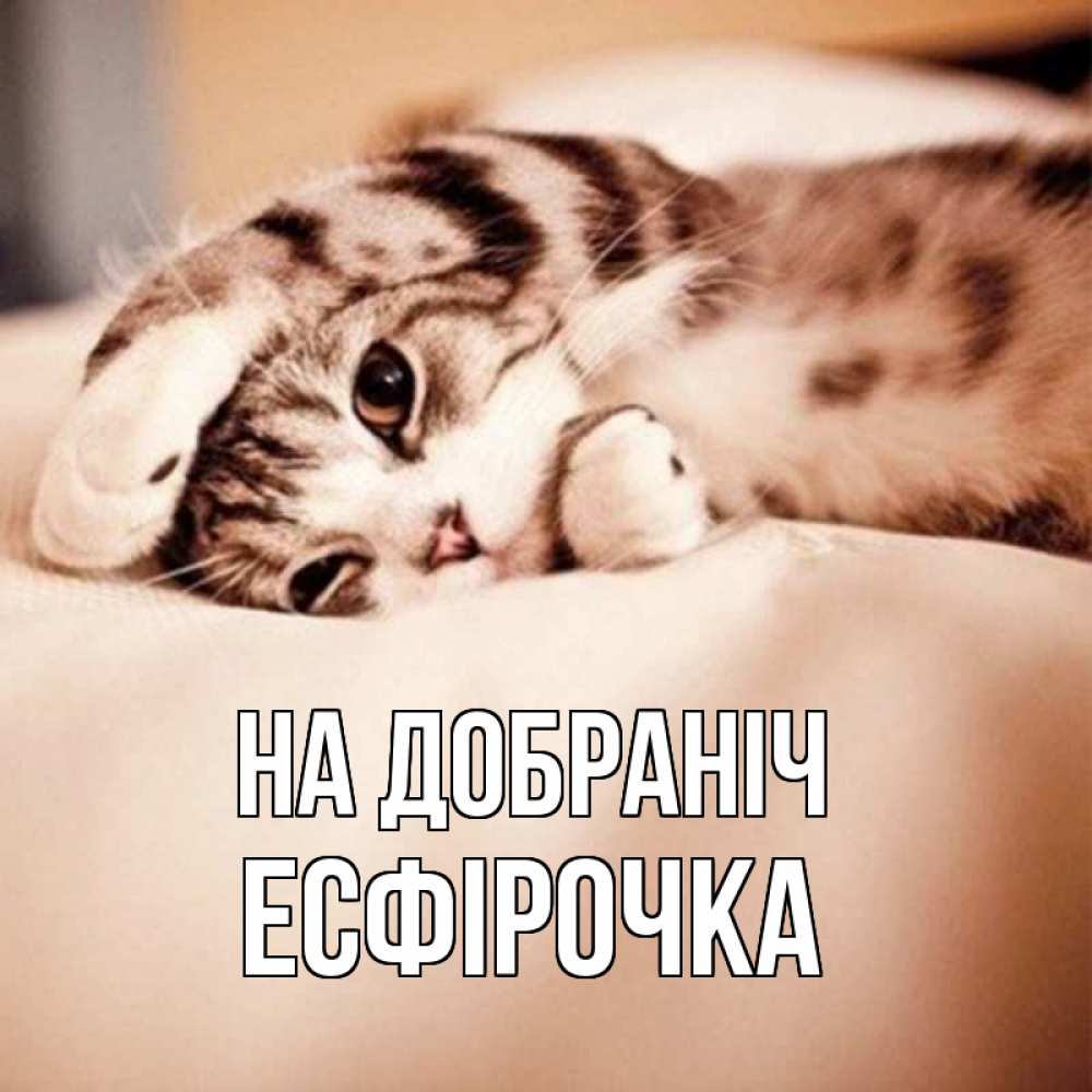 Открытка на каждый день з підписом, Есфірочка На добраніч сладких снов с животными Прикольна листівка з побажанням онлайн скачати безкоштовно 
