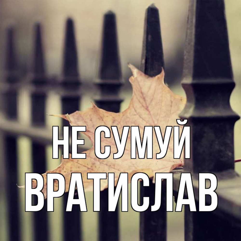 Открытка на каждый день з підписом, Вратислав Не сумуй лист клена Прикольна листівка з побажанням онлайн скачати безкоштовно 