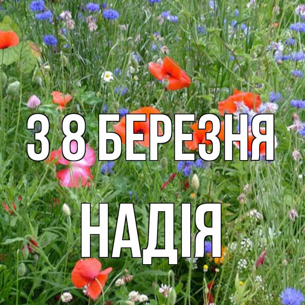 Открытка на каждый день з підписом, Надія З 8 БЕРЕЗНЯ международный женский день 4 Прикольна листівка з побажанням онлайн скачати безкоштовно 
