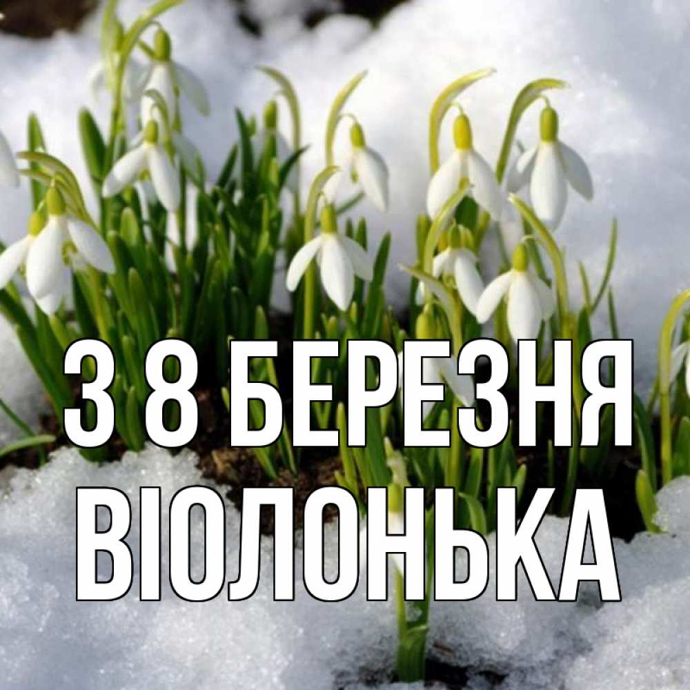 Открытка на каждый день з підписом, Віолонька З 8 БЕРЕЗНЯ цветы весенние Прикольна листівка з побажанням онлайн скачати безкоштовно 