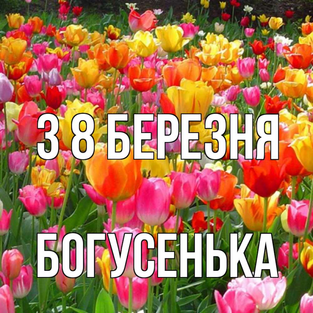 Открытка на каждый день з підписом, Богусенька З 8 БЕРЕЗНЯ на международный женский день Прикольна листівка з побажанням онлайн скачати безкоштовно 