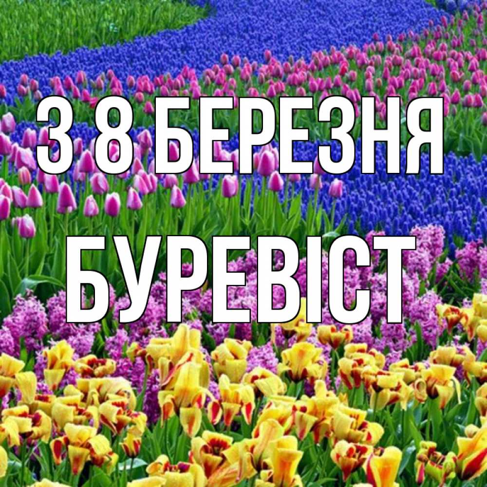 Открытка на каждый день з підписом, Буревіст З 8 БЕРЕЗНЯ цветы Прикольна листівка з побажанням онлайн скачати безкоштовно 