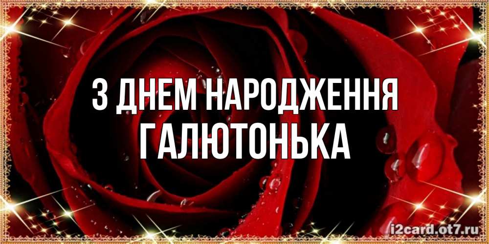 Открытка на каждый день з підписом, Галютонька З Днем народження цветок в росе на день рождения Прикольна листівка з побажанням онлайн скачати безкоштовно 
