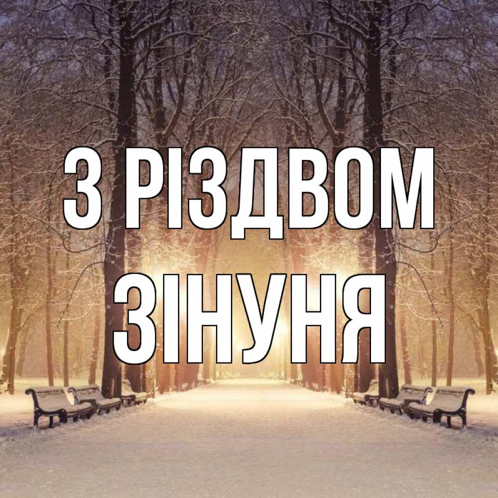 Открытка на каждый день з підписом, Зінуня З Різдвом зима, парк, фонарь, лес Прикольна листівка з побажанням онлайн скачати безкоштовно 