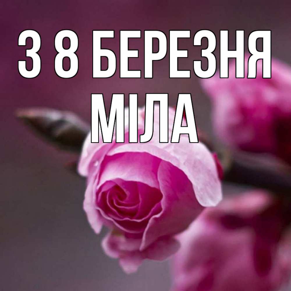 Открытка на каждый день з підписом, Міла З 8 БЕРЕЗНЯ весна Прикольна листівка з побажанням онлайн скачати безкоштовно 