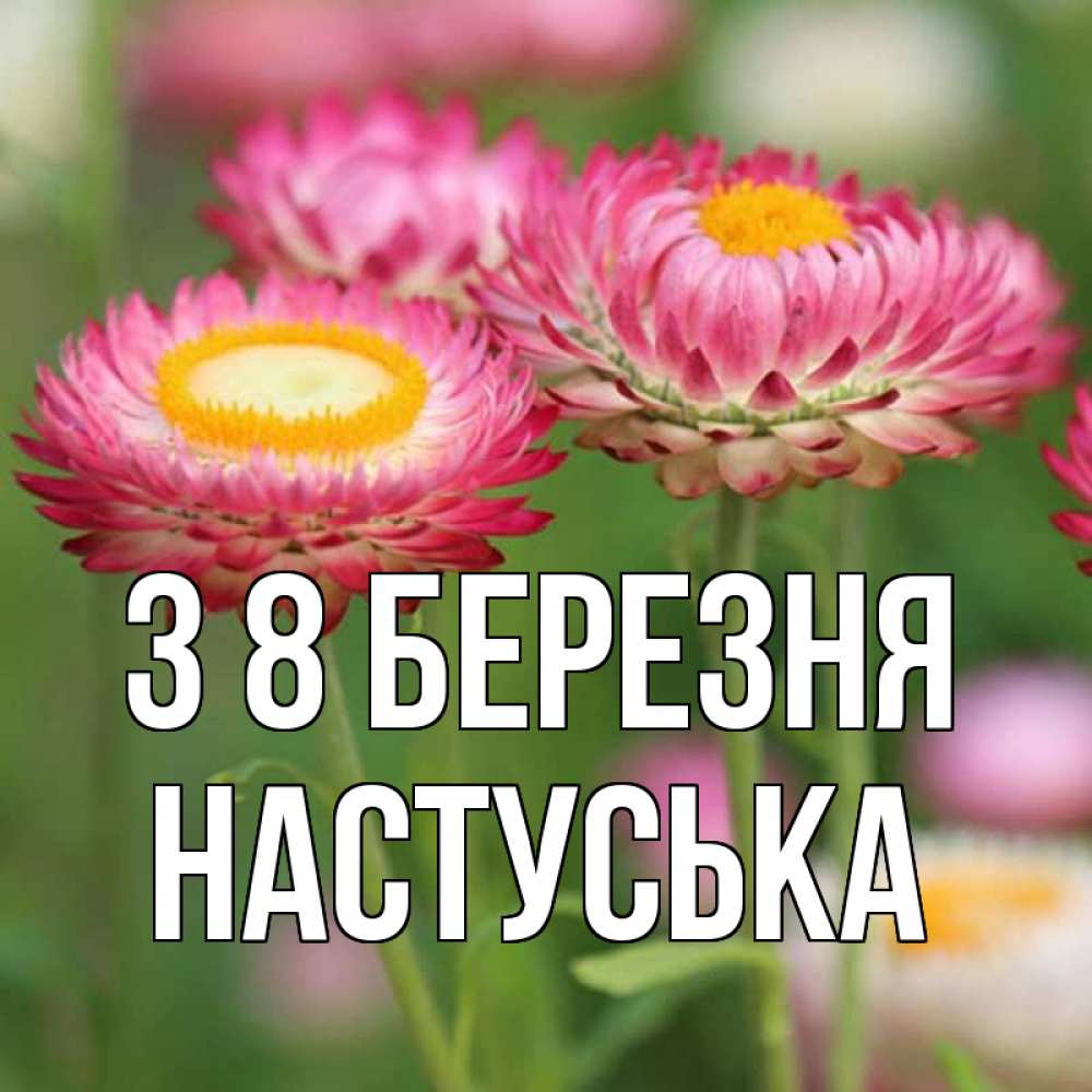 Открытка на каждый день з підписом, Настуська З 8 БЕРЕЗНЯ подарок на международный женский день Прикольна листівка з побажанням онлайн скачати безкоштовно 