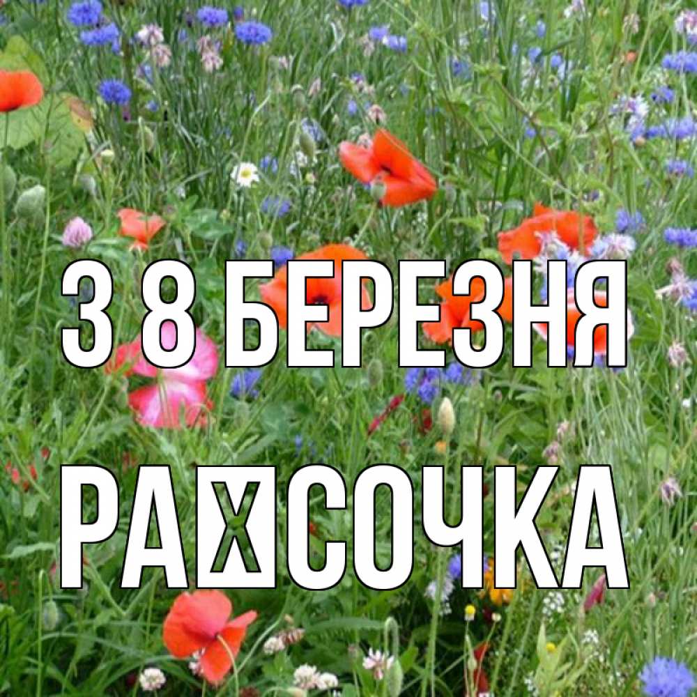 Открытка на каждый день з підписом, Раїсочка З 8 БЕРЕЗНЯ международный женский день 4 Прикольна листівка з побажанням онлайн скачати безкоштовно 