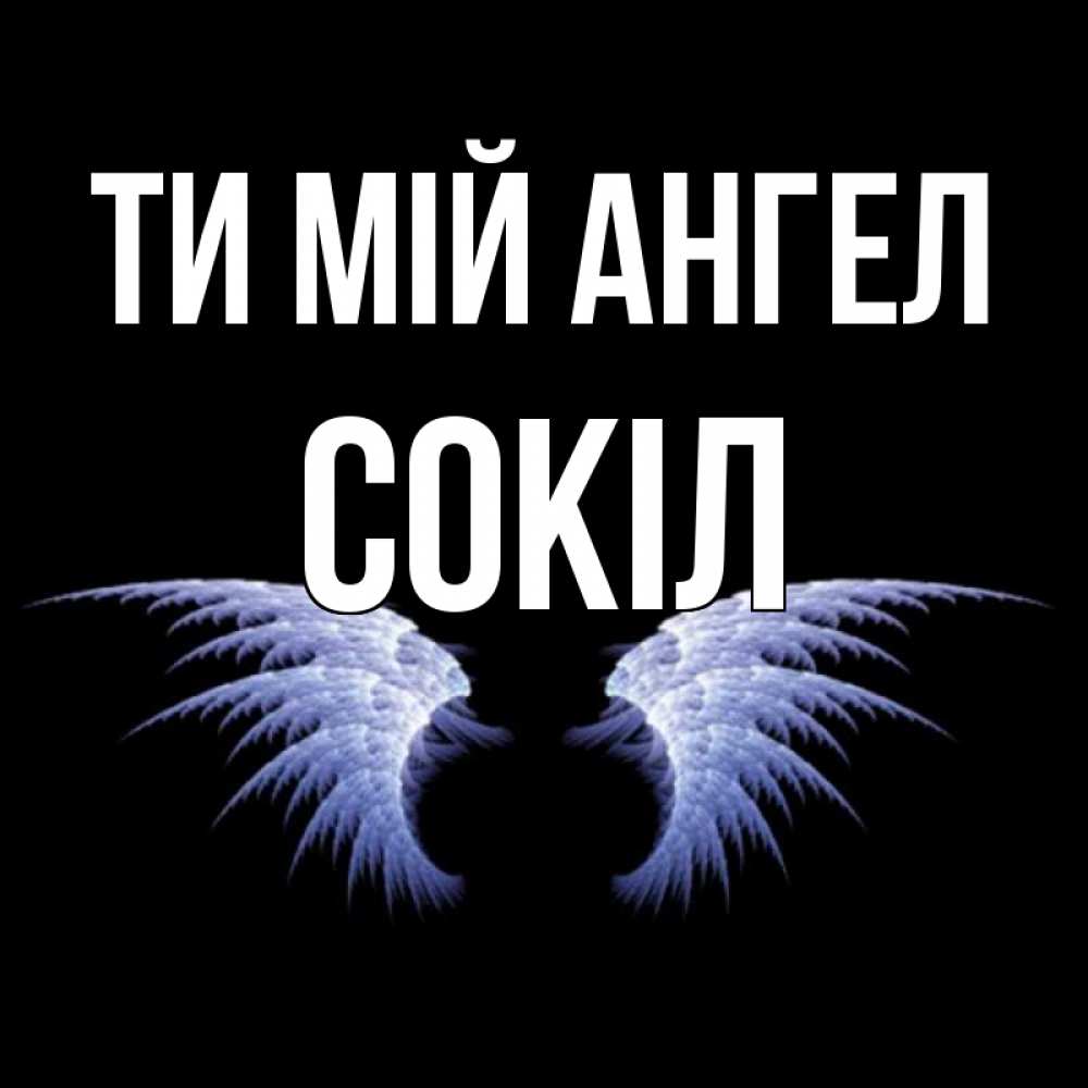 Открытка на каждый день з підписом, Сокіл Ти мій ангел ангельские крылья на черном фоне Прикольна листівка з побажанням онлайн скачати безкоштовно 