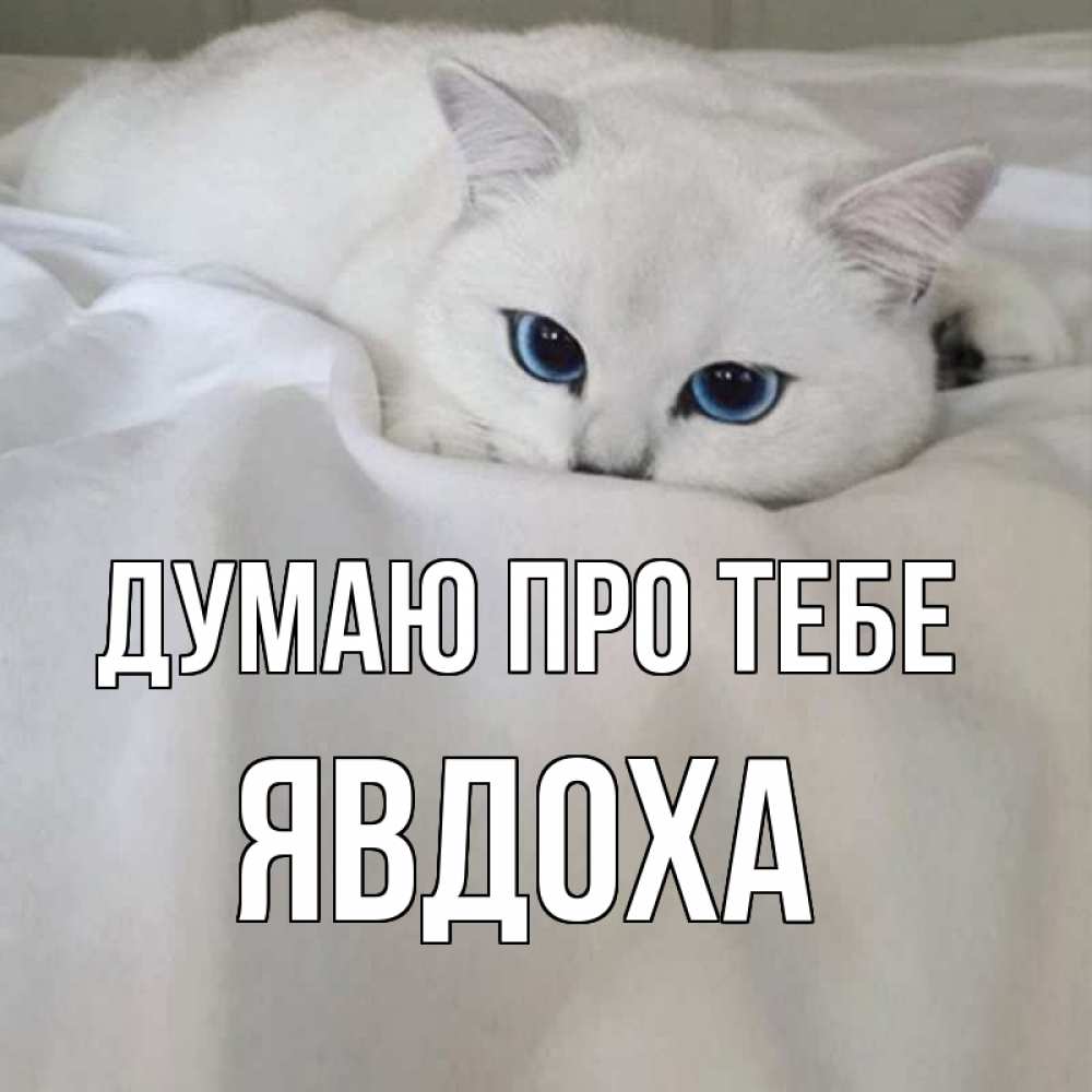 Открытка на каждый день з підписом, Явдоха Думаю про тебе я очень по тебе скучаю и тоскую Прикольна листівка з побажанням онлайн скачати безкоштовно 