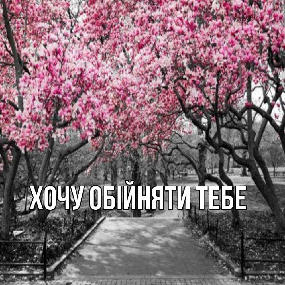 Открытка на каждый день з підписом, выберите-имя Хочу обійняти тебе обработанное фото Прикольна листівка з побажанням онлайн скачати безкоштовно 