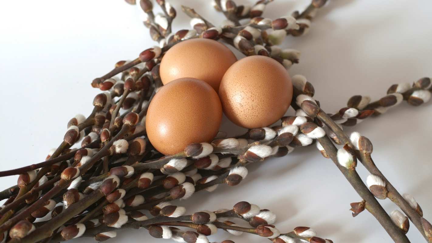 Открытка верба и яички 1 верба 1 З вербною неділею 