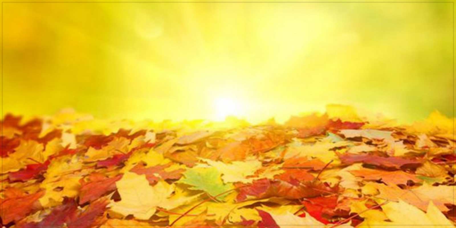 Открытка осенний листопад пожелания удачного дня Вдалого дня 