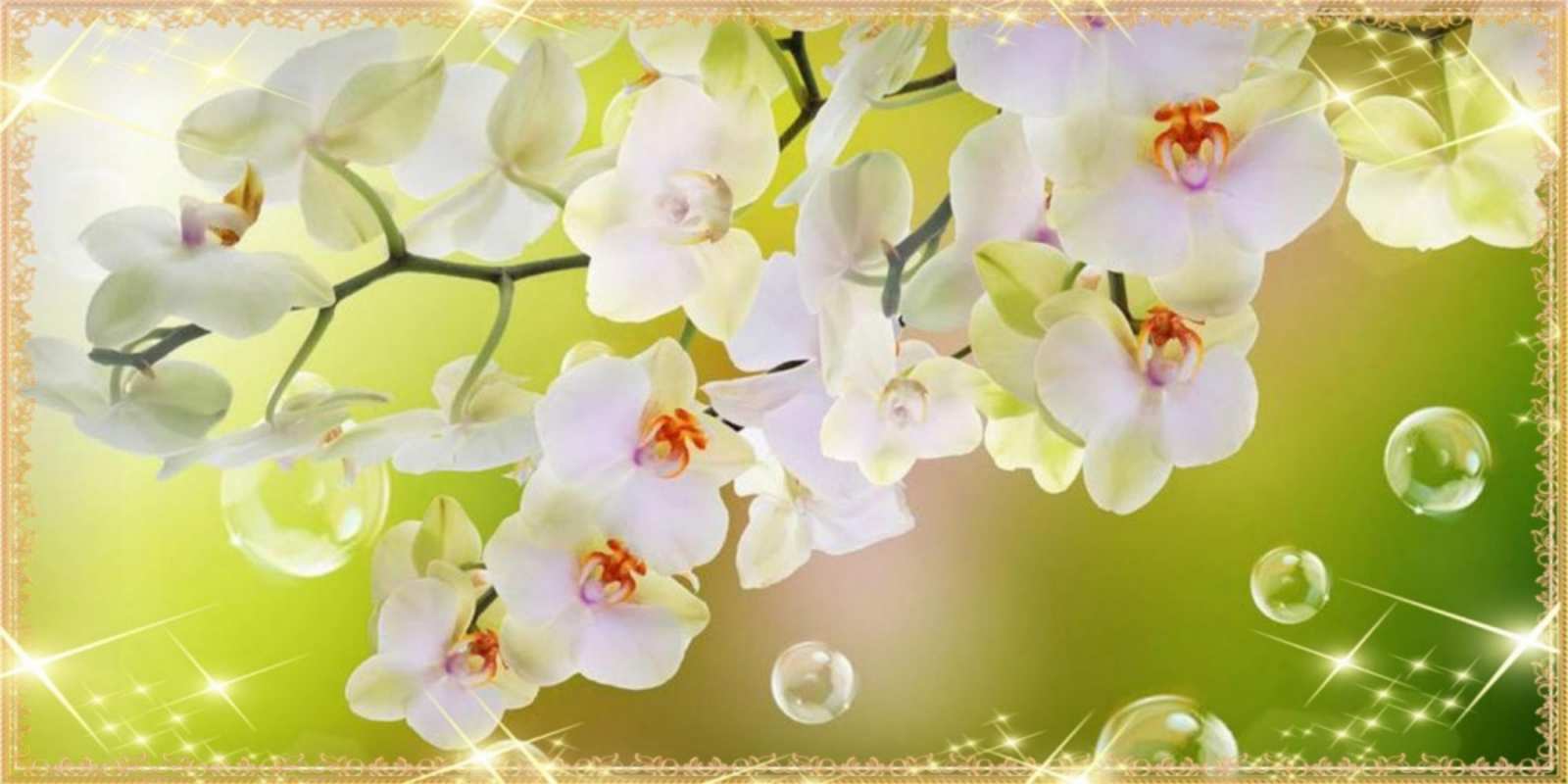 Открытка белые цветы на наурыз открытка с цветами на международный женский день С наурызом 