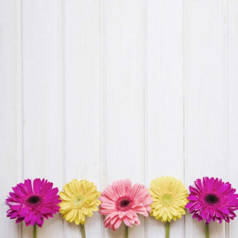 Открытка цветы для позитива  красный желтый и розовый цветок  Доброго ранку 