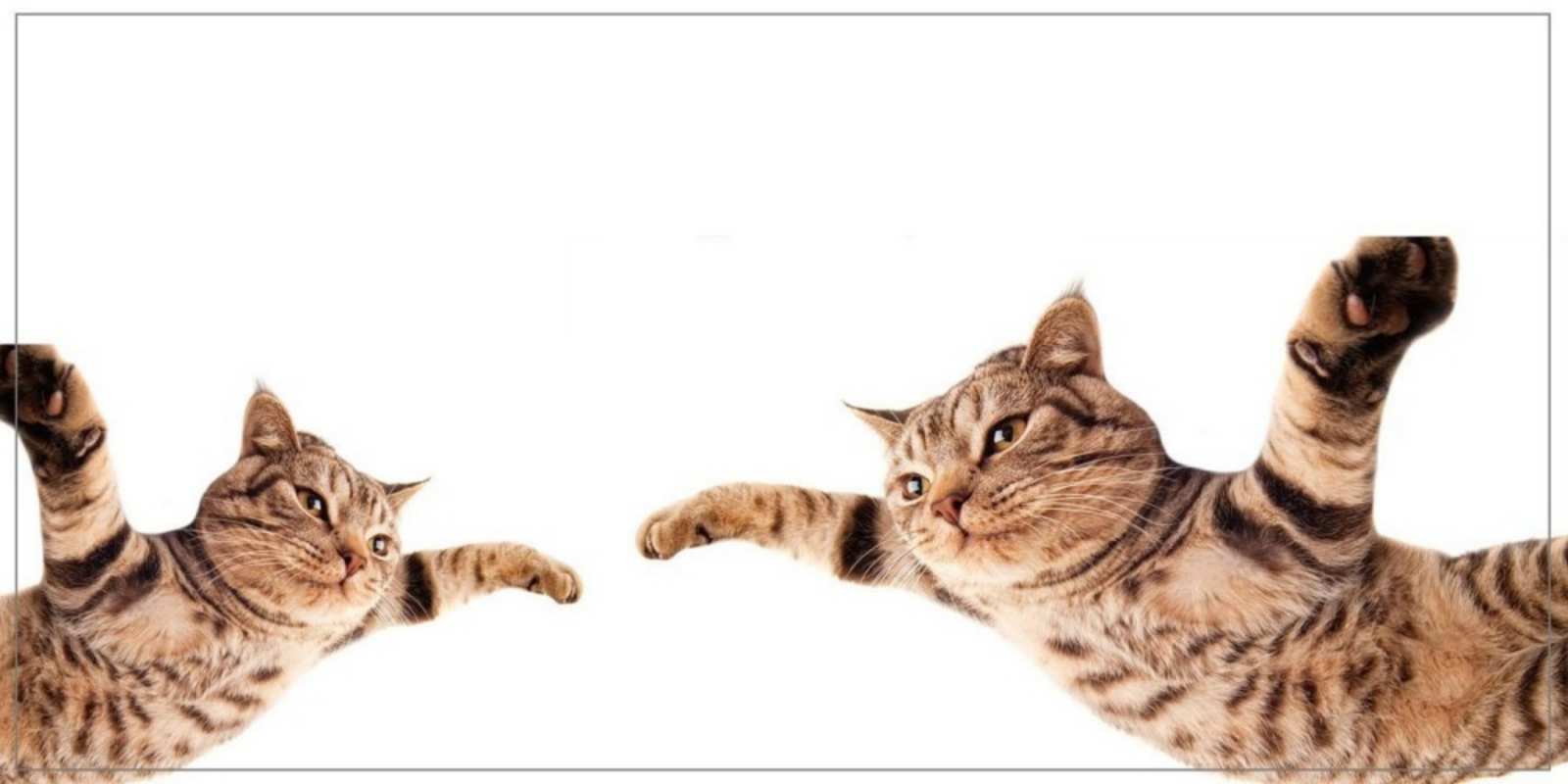 Открытка коты летят хорошего дня Гарного дня 