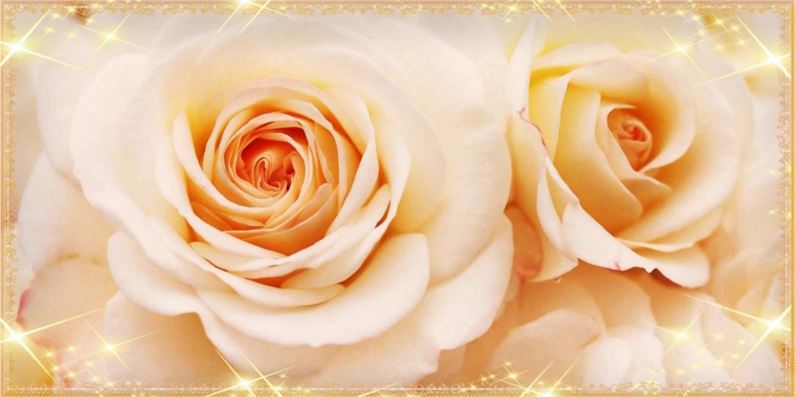 Открытка открытка с розами на наурыз новые открытки для мамы на праздник весны наурыз С наурызом 