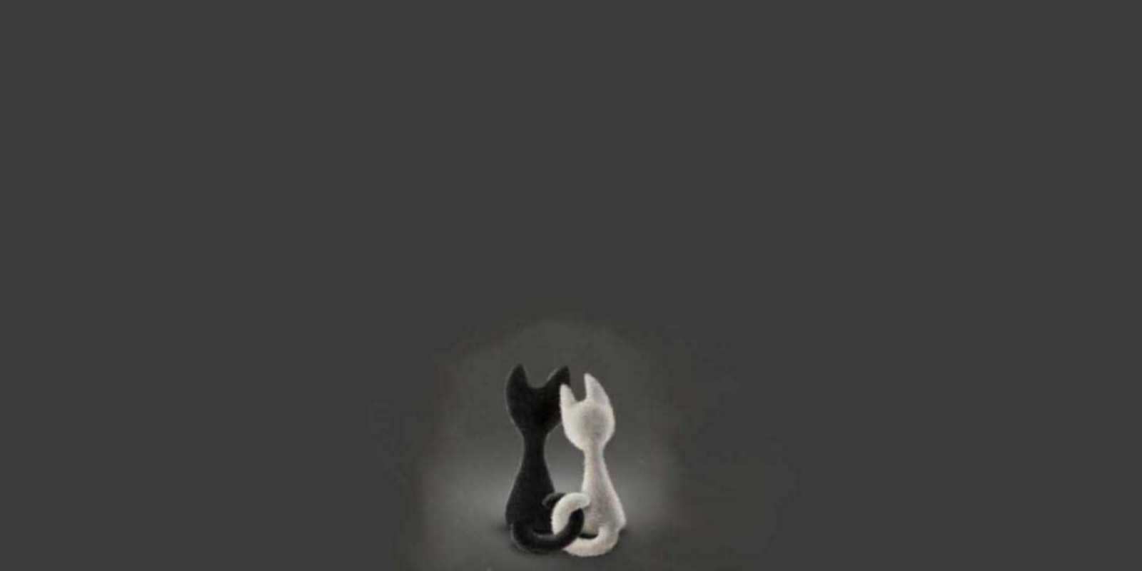 Открытка котярики коты  