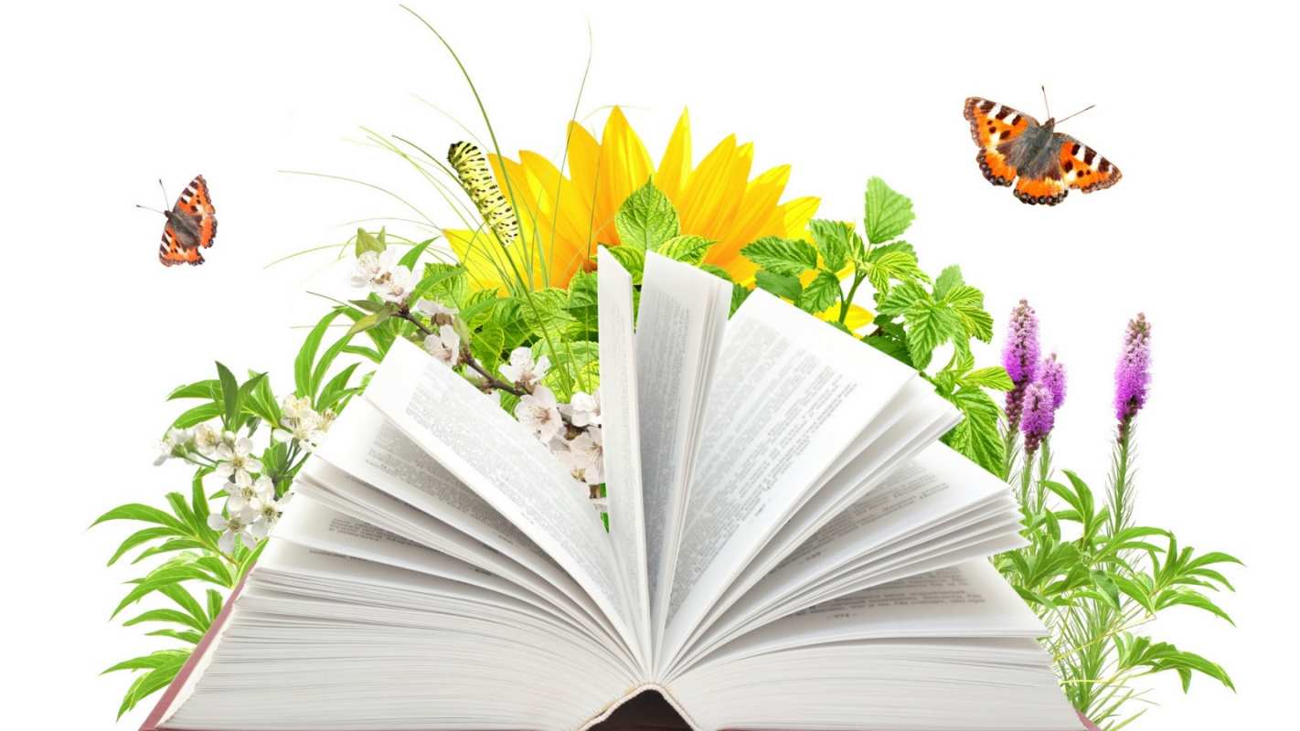 Открытка книга и цветы  с днем учителя   З Днем вчителя 