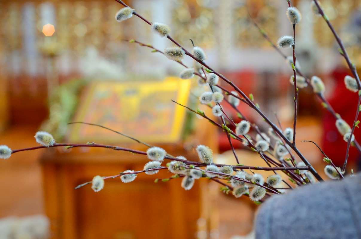 Открытка верба и икона  верба  З вербною неділею 