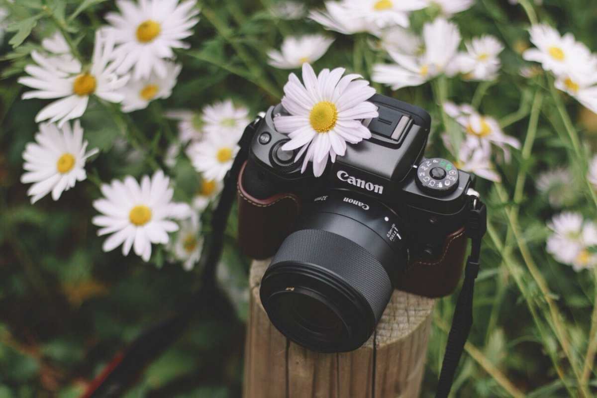 Открытка фотоаппарат кэнон  с днем фотографа  З днем ​​фотографа 